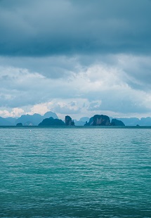 Bioluminescence in Andaman